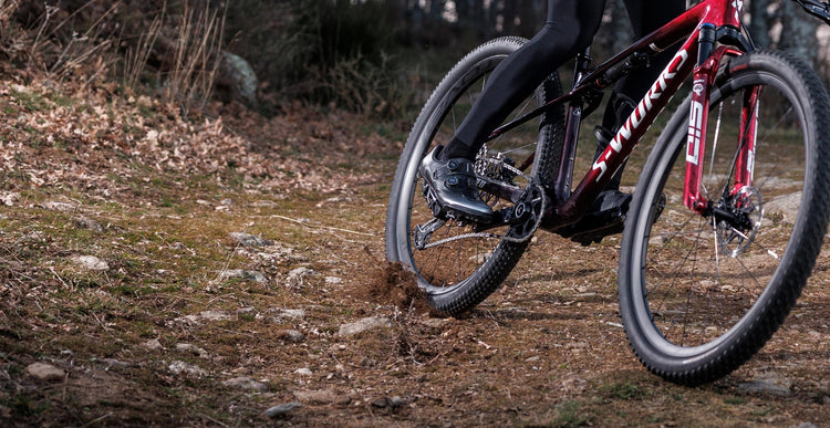 MTB Collection